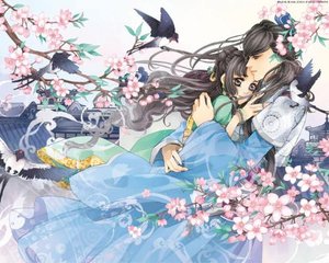 spa 男技师 舒服